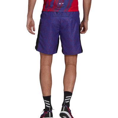 adidas Terrex Primeblue Graphic Trail Running Shorts - SS21 | SportsShoes.com