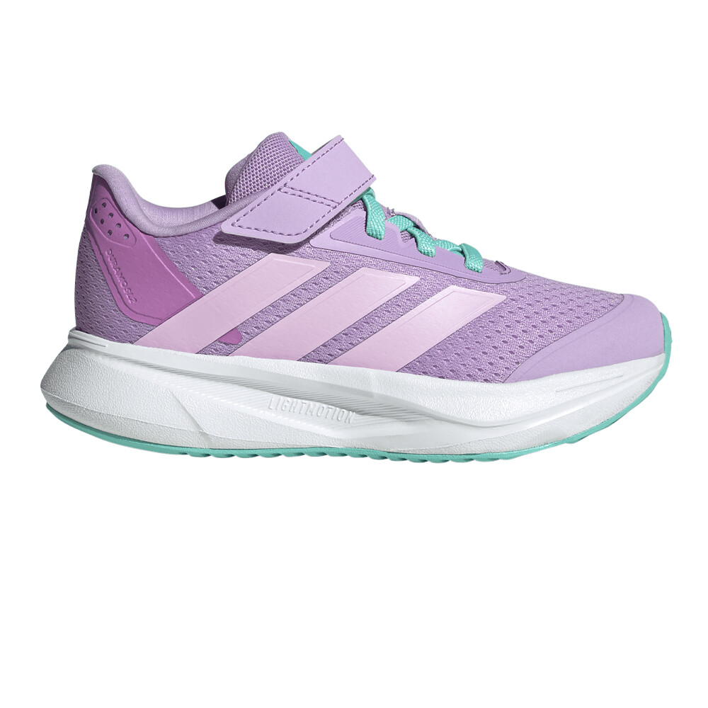 Powder Plum / Ice Lavender / Flash Aqua