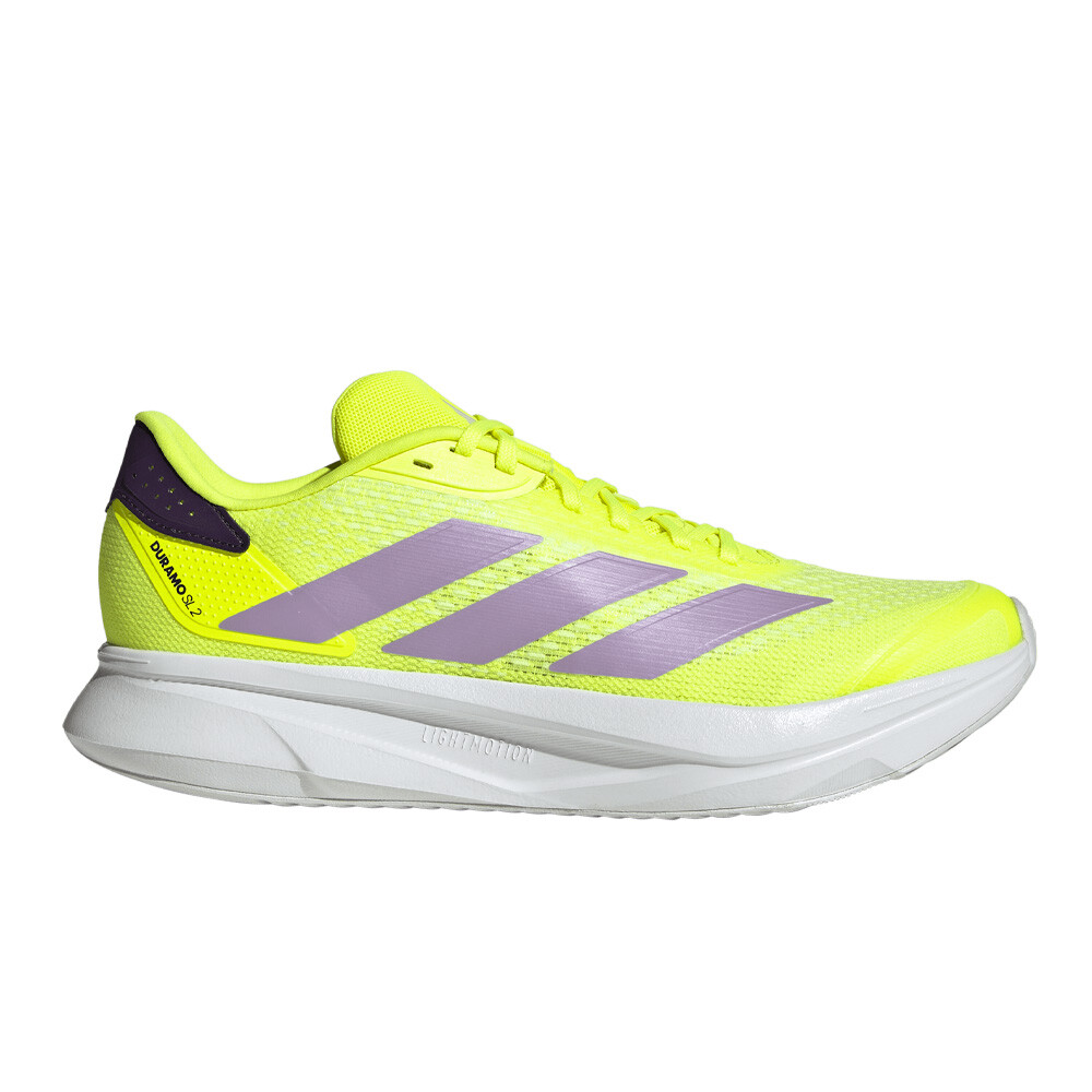 Solar Yellow / Powder Plum / Aurora Plum