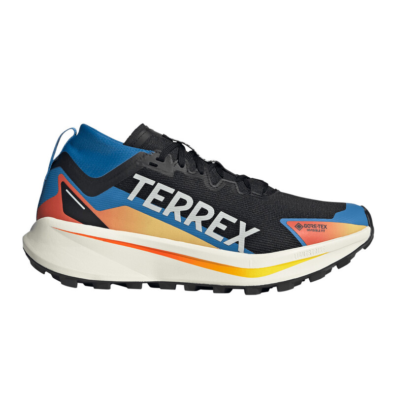 Adidas Terrex Agravic Gore Tex