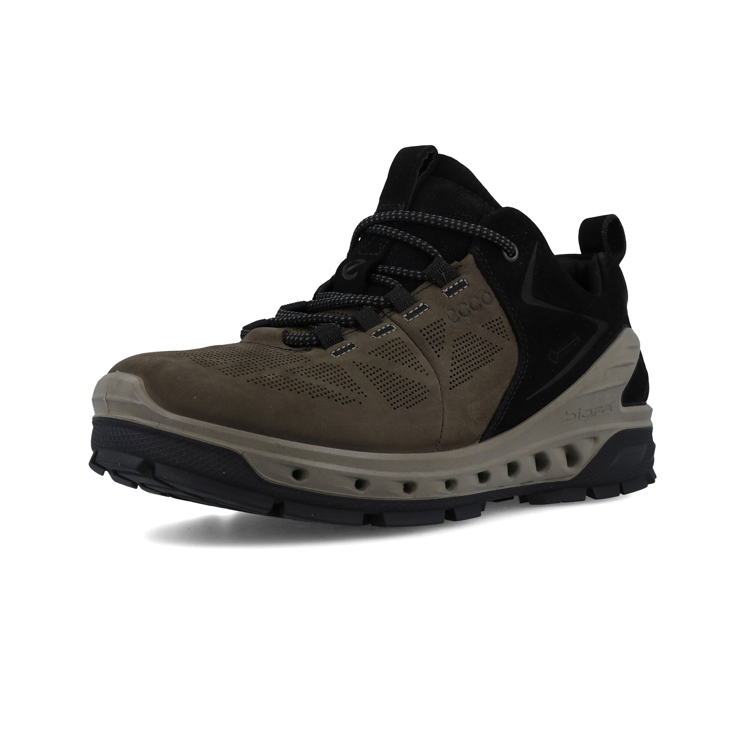 ecco gore tex biom