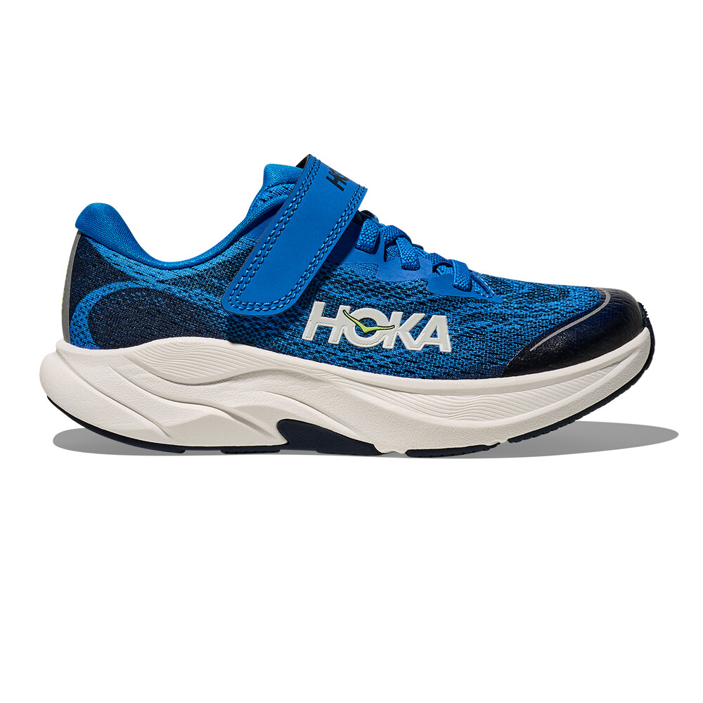 electric cobalt / varsity navy