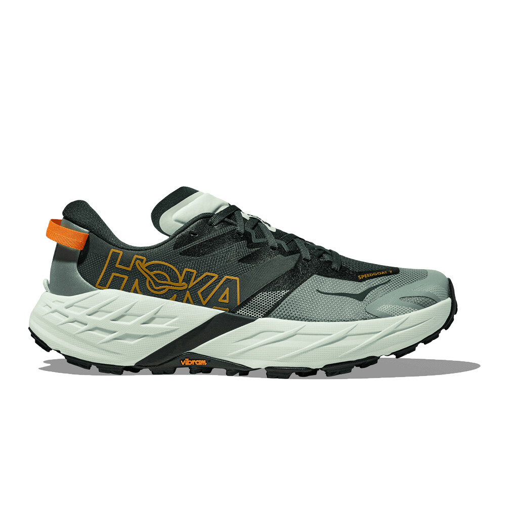 Bay Leaf / Sea Glass