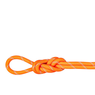 Mammut 9.5 Alpine Dry 70m Rope