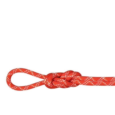 Mammut 9.5 Gym Classic 50m Rope