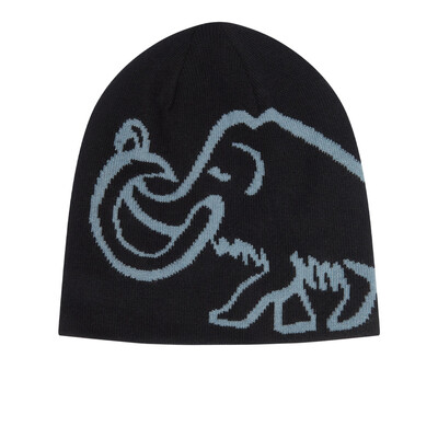 Mammut Reversible Logo Beanie-Mütze - AW26