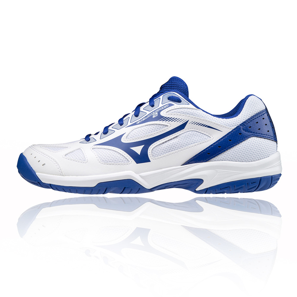 mizuno court shoes