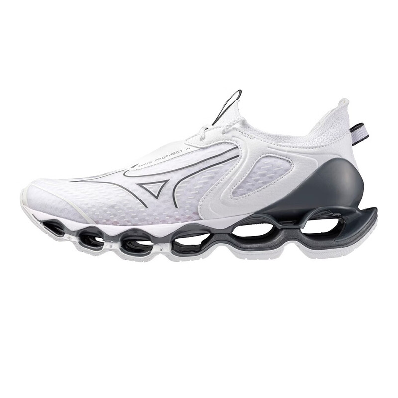 Mizuno Wave Prophecy 14
