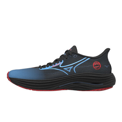 Mizuno Wave Rider 29 Amsterdam chaussures de running