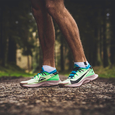 Nike Pegasus Trail 2 Trail Running Shoes - FA20