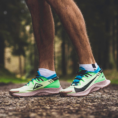 Nike Pegasus Trail 2 Trail Running Shoes - FA20