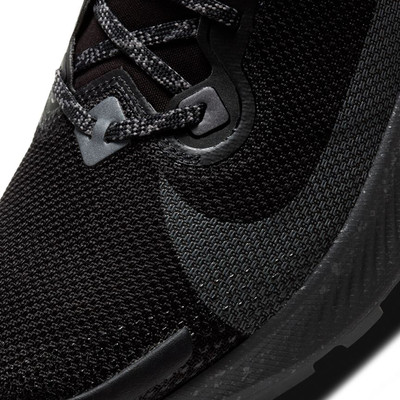 Nike Pegasus Trail 2 GORE-TEX Trail Running Shoes - SP21