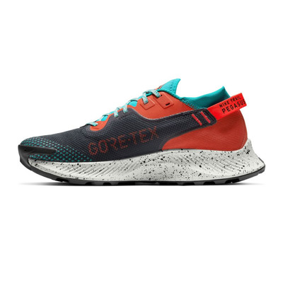 Nike Pegasus Trail 2 GORE-TEX Trail Running Shoes - SP21