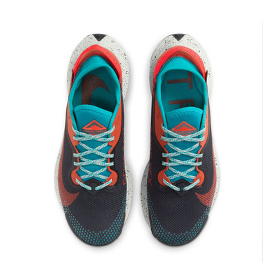 Nike Pegasus Trail 2 GORE-TEX Trail Running Shoes - SP21