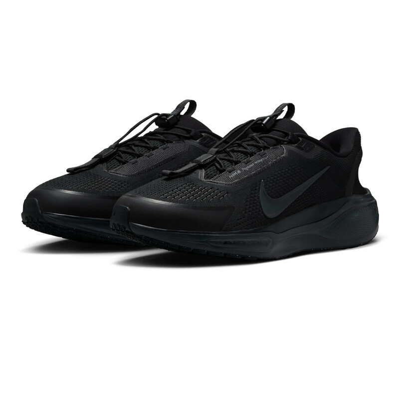 Nike Pegasus Easyon