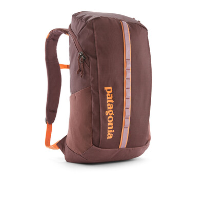 Patagonia Black Hole 25L Backpack