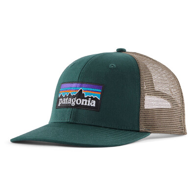 Patagonia P-6 Trucker Hat - AW25