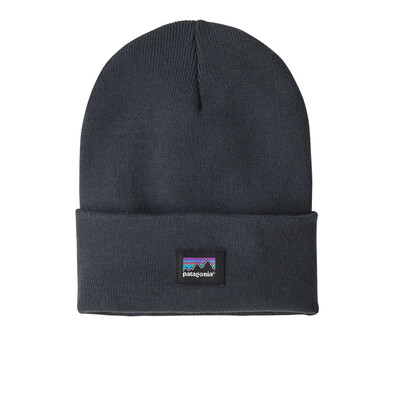 Patagonia Everyday Beanie - AW25