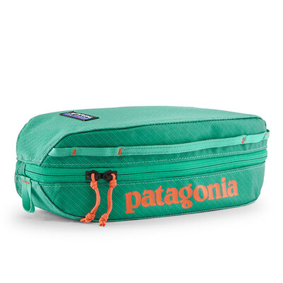 Patagonia Black Hole Cube 3L - SS26
