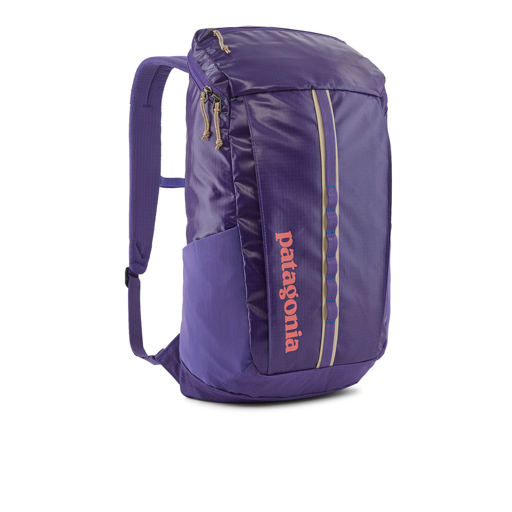 Patagonia Black Hole 25L Backpack SS23