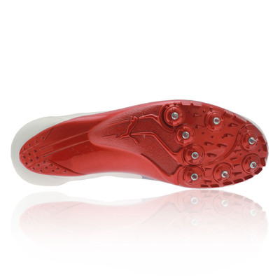 puma sprint spikes evospeed