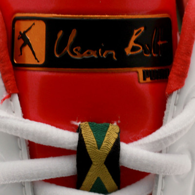 puma sprint spikes evospeed