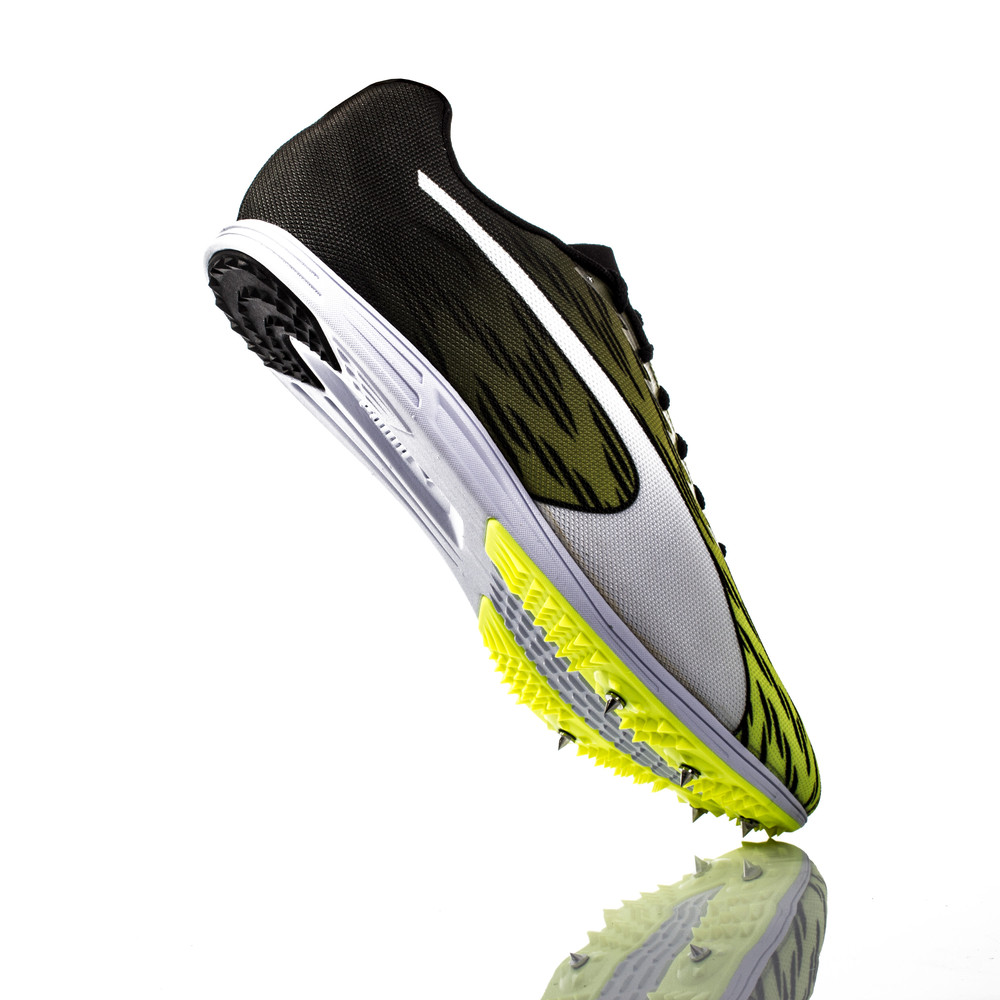 puma evospeed distance puma evospeed distance