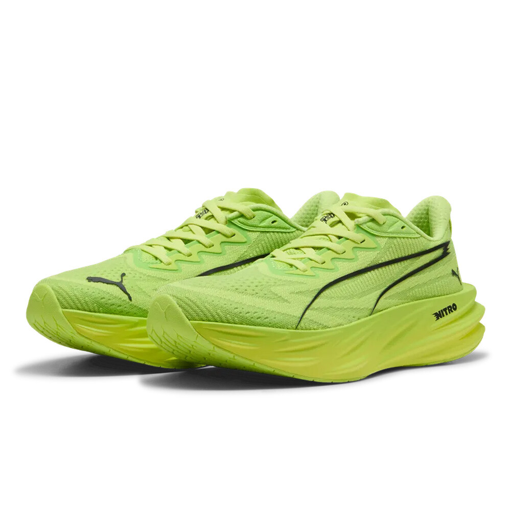Sunny Lime-Light Lime