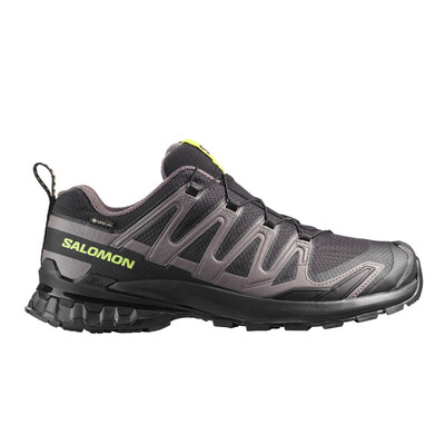 Salomon XA Pro 3D V9 GORE-TEX Herren Trail Laufschuhe - SS26