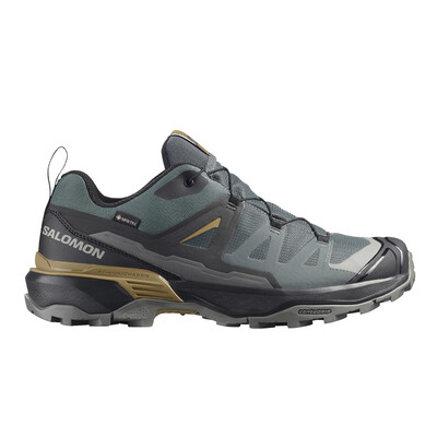 Salomon X Ultra 360 GORE-TEX Herren Walkingschuhe - SS26