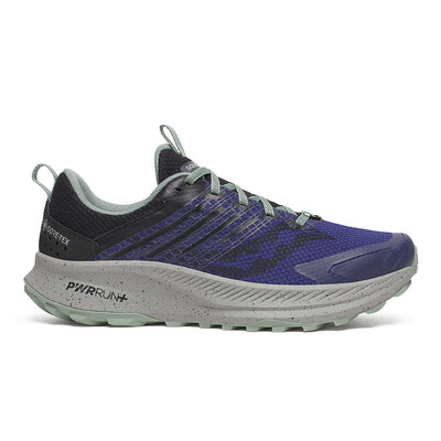 Saucony Ride TR2 GORE-TEX Herren Trail Laufschuhe - SS26