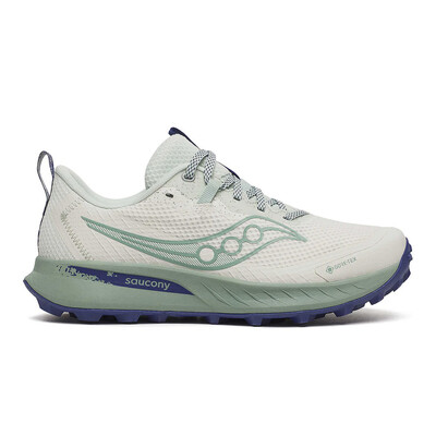 Saucony Peregrine 15 GORE-TEX femme chaussures de trail - SS26