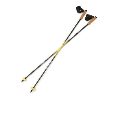 Silva Carbon Z Fixed Running Poles - SS26