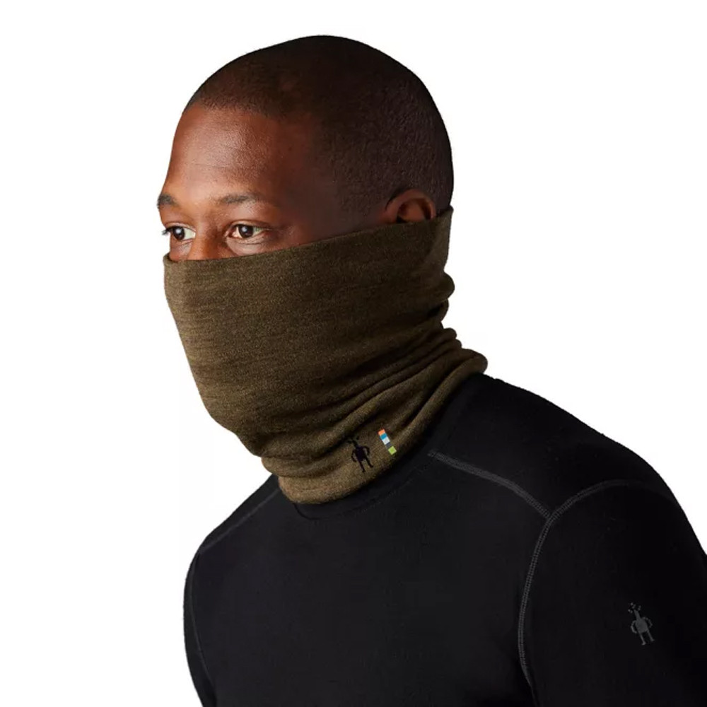 smartwool 250 neck gaiter