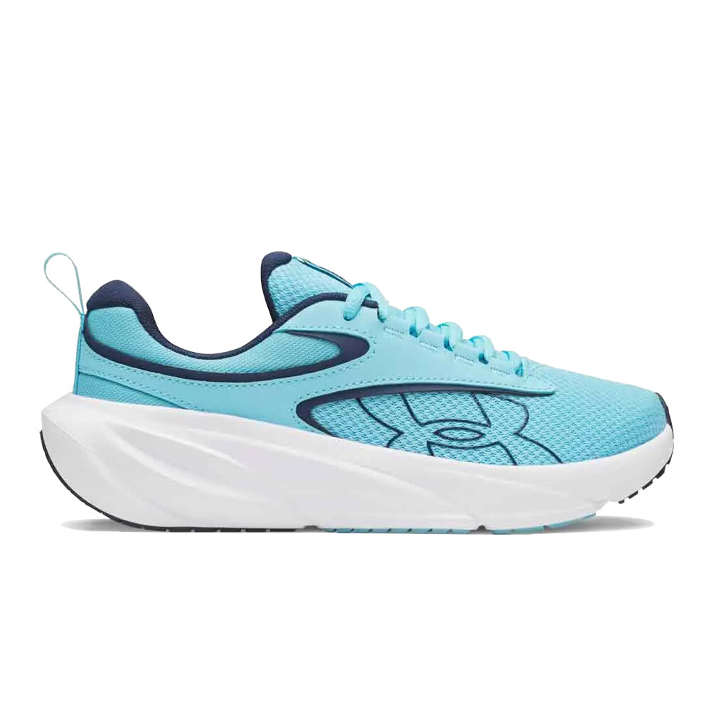 Blue / White