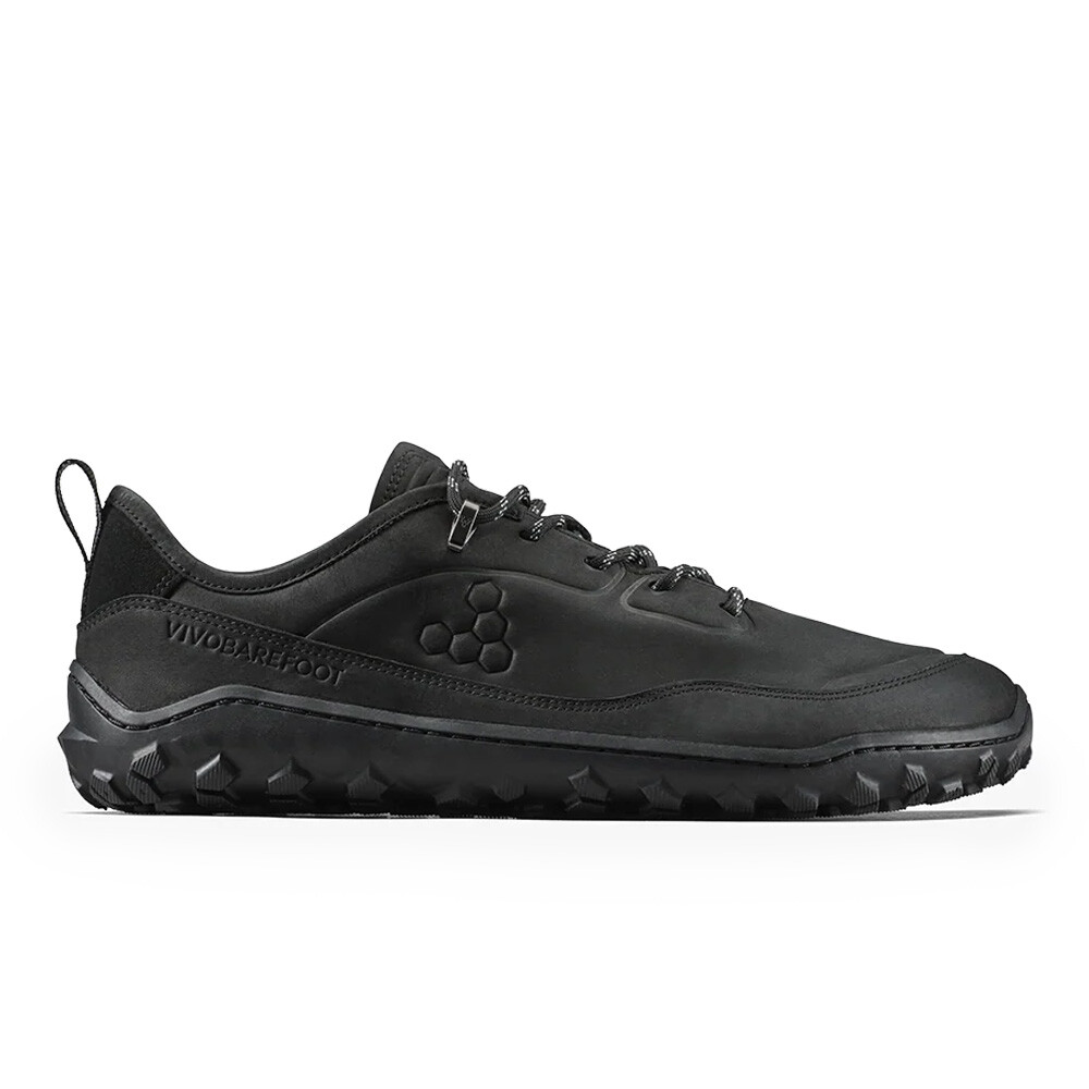 Obsidian